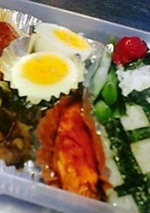 片付け込みで30分弁当-レシピのメイン写真