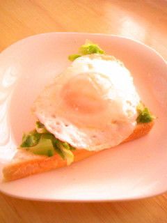 おひとりごはん。キャベツのオープンサンド-レシピのメイン写真