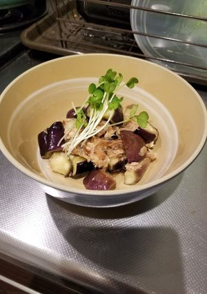 レンジでちんだけ！超簡単なすのおひたし！-レシピのメイン写真