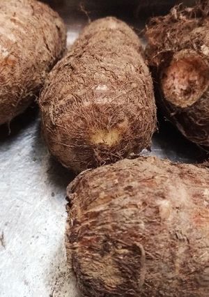 洗わず茹でる、痒くならない里芋の下処理-レシピのメイン写真