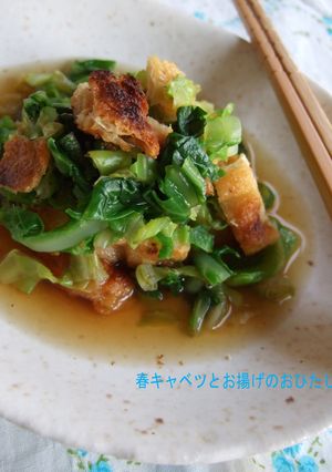 春キャベツとお揚げのおひたし-レシピのメイン写真