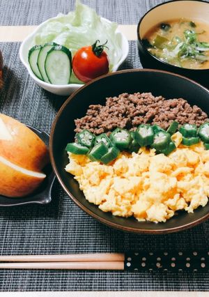 3色そぼろ丼-レシピのメイン写真