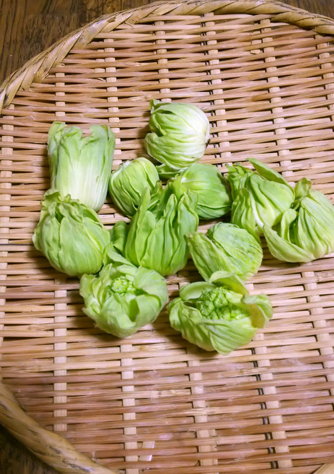 【野菜ソムリエ】ふきのとうの下処理-レシピのメイン写真