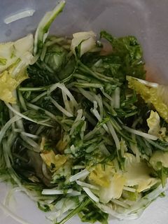 水菜とレタスのおつけもの-レシピのメイン写真