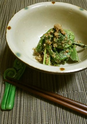【野菜ソムリエ】こごみのごま和え-レシピのメイン写真