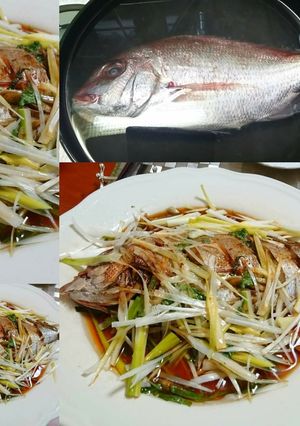 鯛の清蒸-レシピのメイン写真