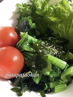 ワサビ菜とわかめのサラダ-レシピのメイン写真