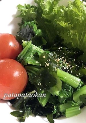 ワサビ菜とわかめのサラダ-レシピのメイン写真