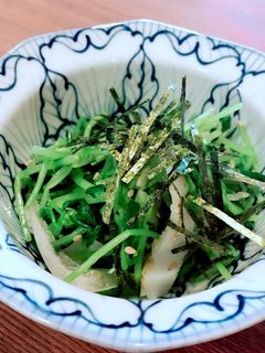 豆苗と玉ねぎのゴマ和え-レシピのメイン写真