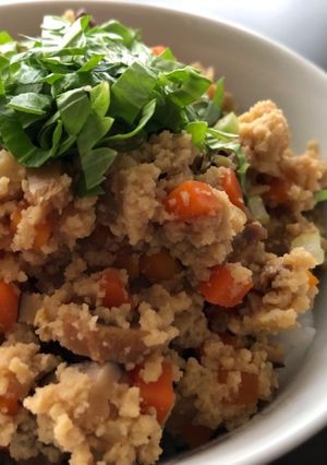 高野豆腐のそぼろご飯-レシピのメイン写真