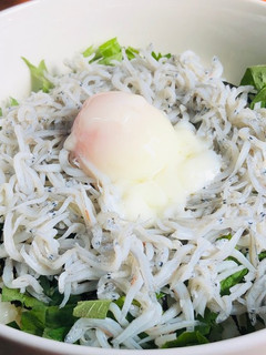 簡単!絶品!しらす丼-レシピのメイン写真