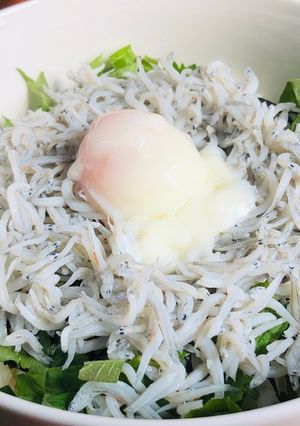 簡単！絶品！しらす丼-レシピのメイン写真