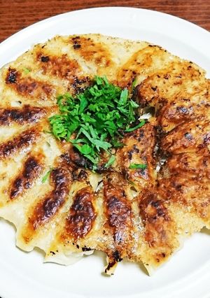 大根入り羽付き餃子-レシピのメイン写真