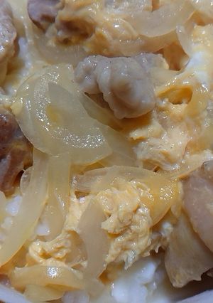 がっつり親子丼-レシピのメイン写真