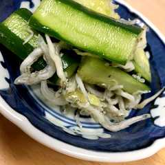 รูปของ きゅうりとしらす干しのササッとあさ漬