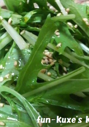 簡単!水菜のごまサラダ-レシピのメイン写真