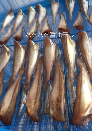 ハタハタの醤油干し(干物)作り方-レシピのメイン写真