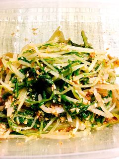 簡単☆水菜のゴマ和え-レシピのメイン写真