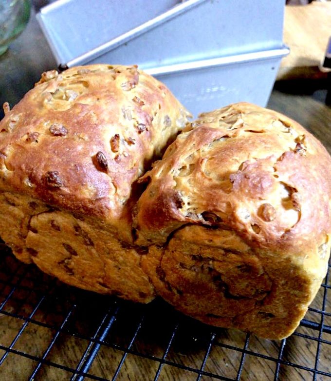 レンジ発酵 ふすまミルクパン もち麦-レシピのメイン写真