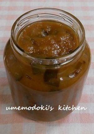 葱の大量消費にネギ味噌-レシピのメイン写真