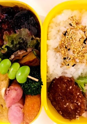 ハンバーグ弁当-レシピのメイン写真