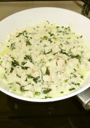 自家製豆腐と鶏むね肉炒め♯犬♯手作り-レシピのメイン写真