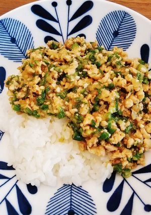おくらと鶏挽肉のねばねばまぜごはん-レシピのメイン写真