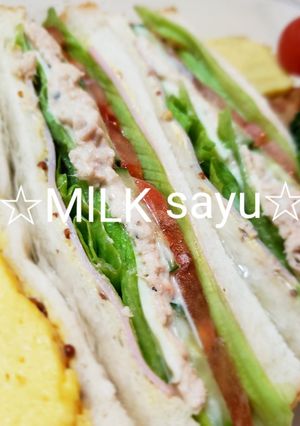 サンドイッチ弁当(^-^)-レシピのメイン写真