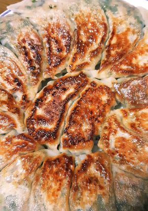 ヘルシー餃子-レシピのメイン写真