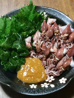 雑な男料理:ホタルイカの酢味噌和え!!-レシピのメイン写真