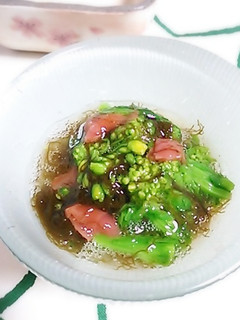 菜の花との梅もずく酢和え-レシピのメイン写真