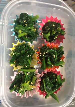 【食費を抑えたい】白ごまほうれん草-レシピのメイン写真