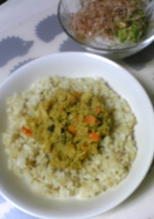おからのカレー炒り煮。-レシピのメイン写真