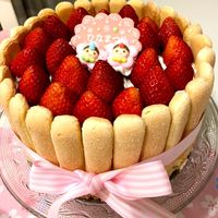 基本からアレンジまで！思わずつくりたくなる「シャルロット