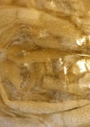 かんぴょうの旨煮-レシピのメイン写真