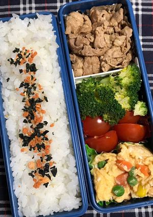20190304マイ弁当-レシピのメイン写真