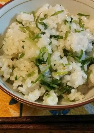 せりの青菜ご飯-レシピのメイン写真