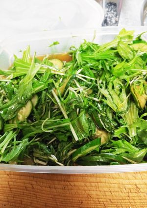 水菜とキュウリのサラダ-レシピのメイン写真