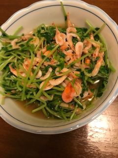 豆苗と桜エビの和え物-レシピのメイン写真
