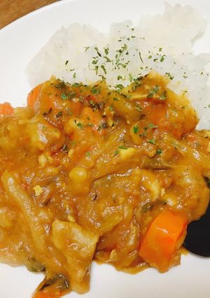 簡単水無しカレー材料切って放置するだけ！-レシピのメイン写真