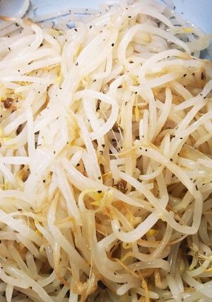 やみつきもやし-レシピのメイン写真