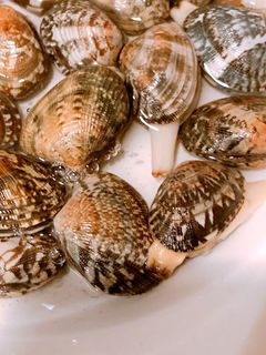あさりの砂抜き 裏ワザ ふっくら-レシピのメイン写真