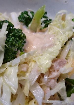 白菜とツナのチャチャっとサラダ-レシピのメイン写真