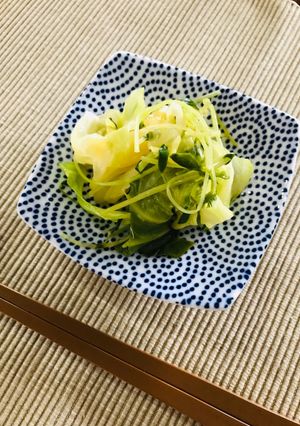 栄養満点☆春キャベツと豆苗の蒸し焼き-レシピのメイン写真