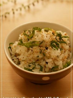 梅ゴマ大葉混ぜごはん-レシピのメイン写真
