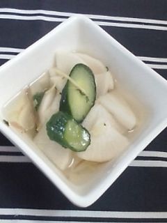 浅漬けの素で私好みの浅漬け-レシピのメイン写真