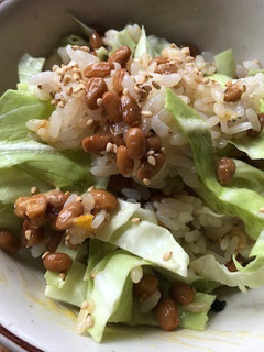 納豆と千切りキャベツのサラダご飯-レシピのメイン写真