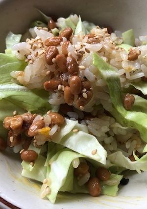 納豆と千切りキャベツのサラダご飯-レシピのメイン写真