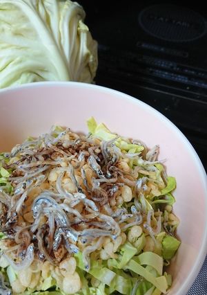 わたしの春キャベツの好きな食べ方-レシピのメイン写真