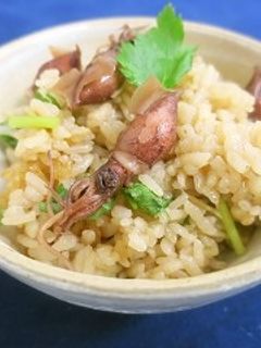 ホタルイカの炊き込みご飯-レシピのメイン写真
